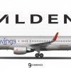 9. Alden Boeing 757-227W (2016 - Present) 'Unitedwings Special'