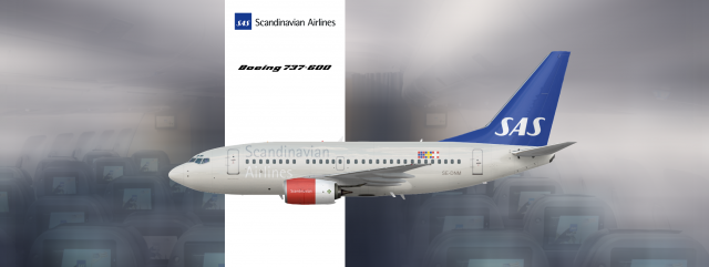 SAS Boeing 737-600